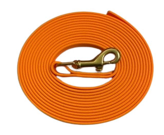 Tangerine BioThane Leash