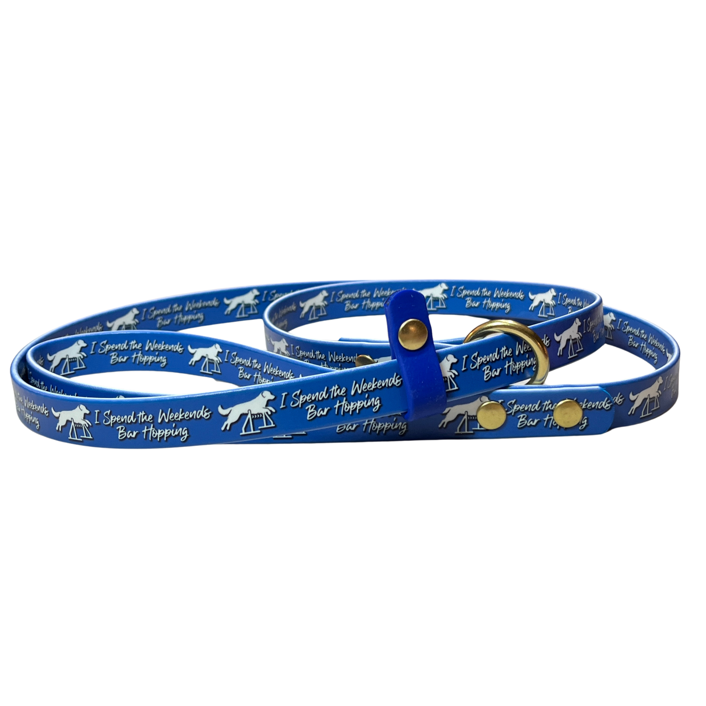 UV Printed BioThane Slip Lead 5/8 in