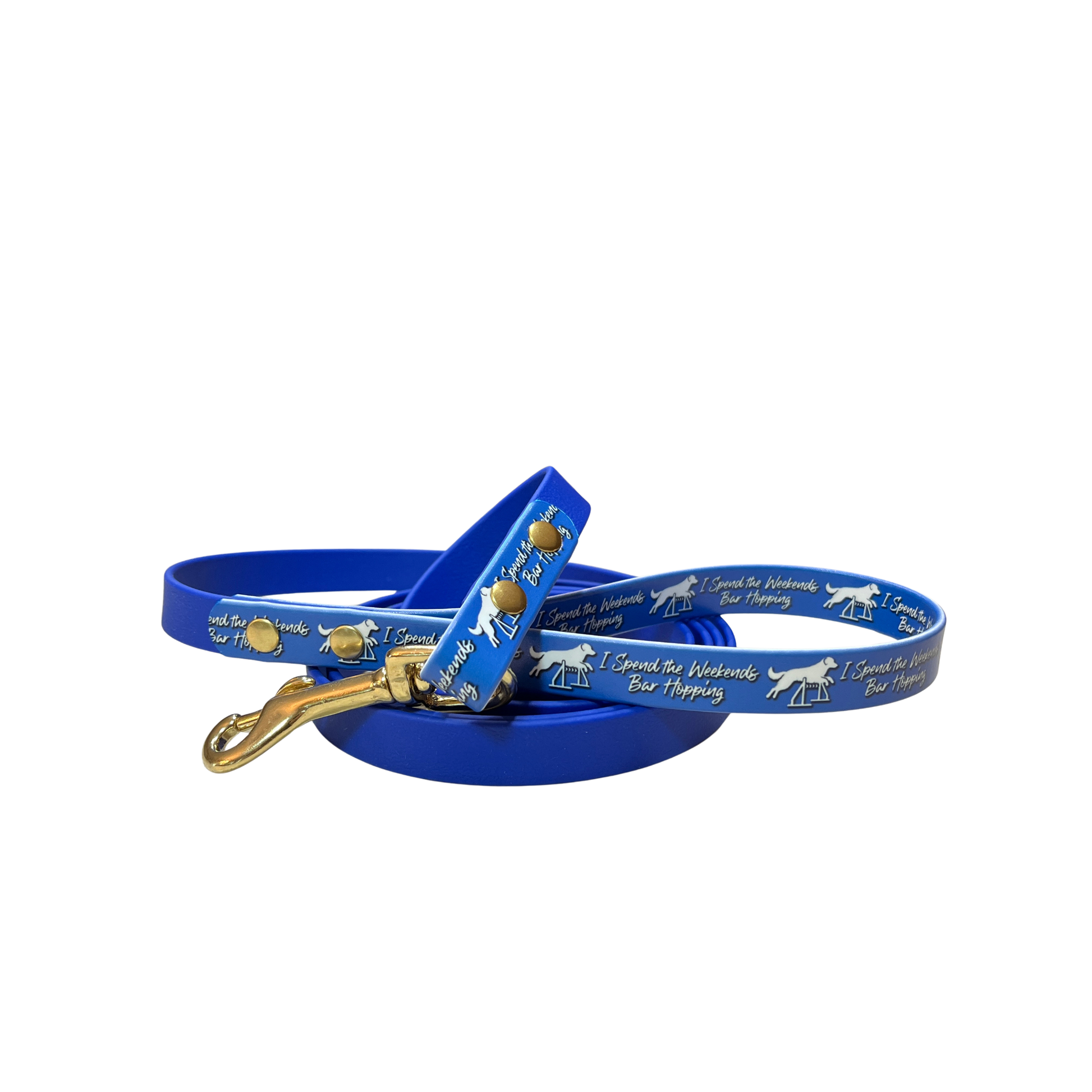 Palomine Lines Designer BioThane Dog Leash 5/8 in — Bar Hopping/Royal Blue