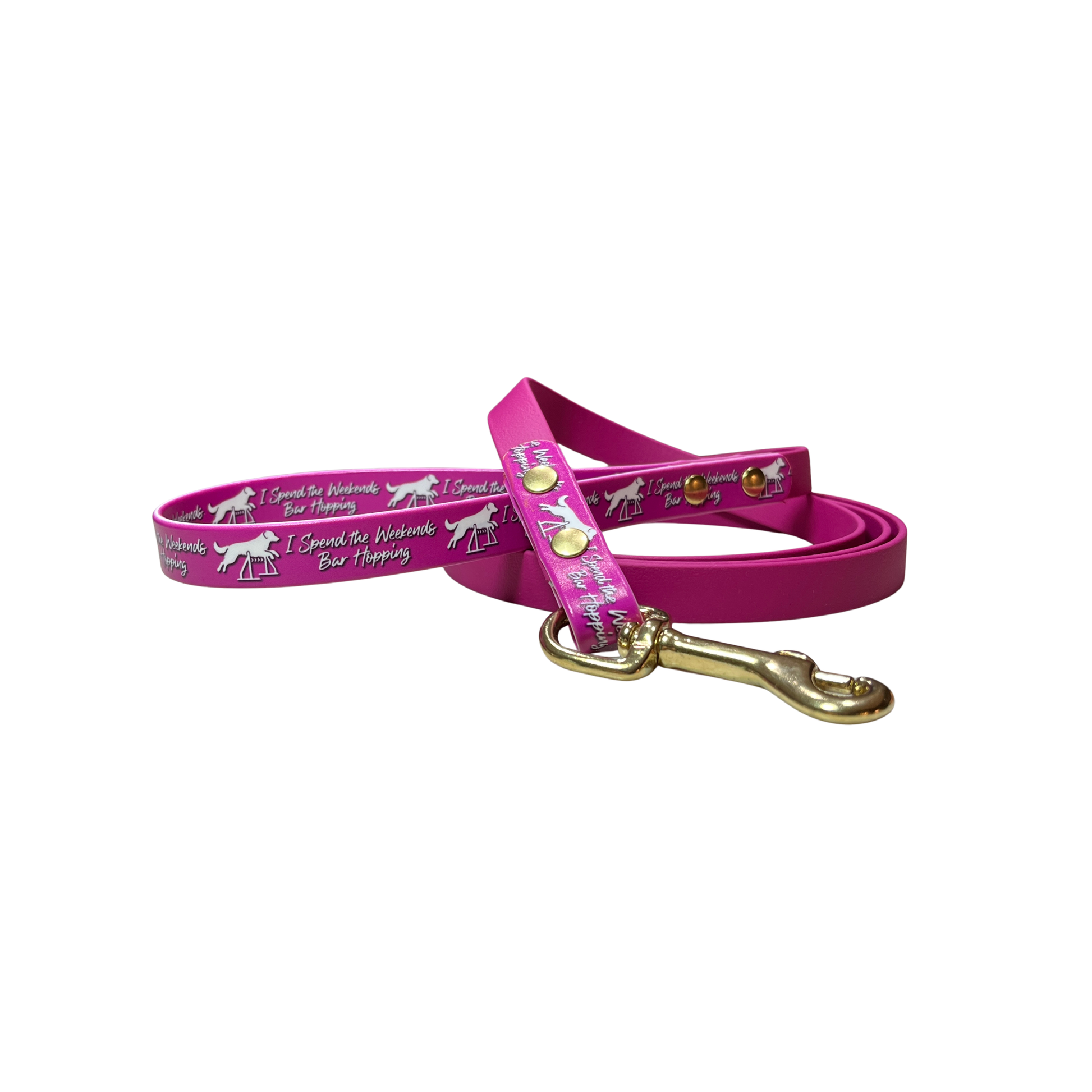 Palomine Lines Designer BioThane Dog Leash 5/8 in — Bar Hopping/Magenta